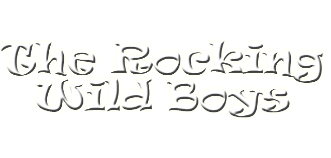 The Rocking Wild Boys